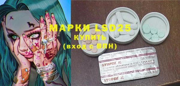индика Вяземский