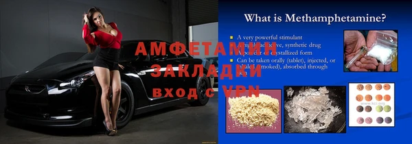 индика Вяземский
