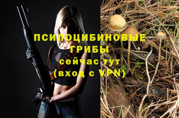 СК Горняк