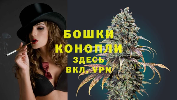 СК Горняк