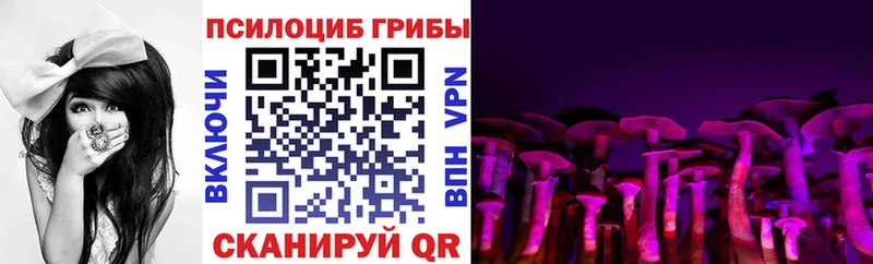 Псилоцибиновые грибы MAGIC MUSHROOMS  Купить закладки  Ковылкино 